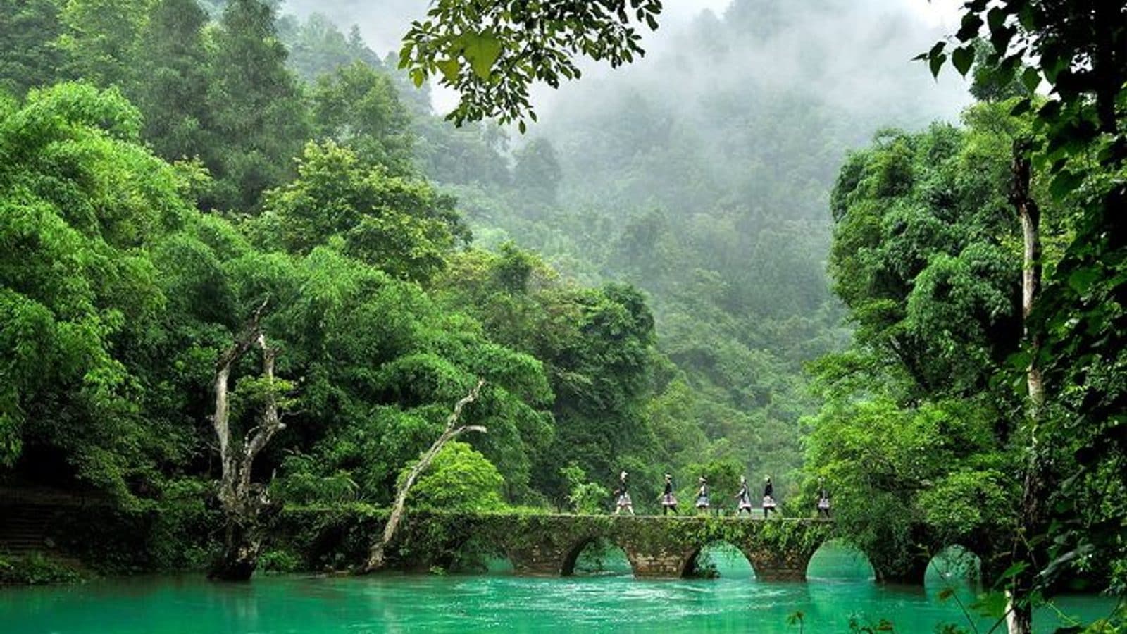 企业团建/研学旅行